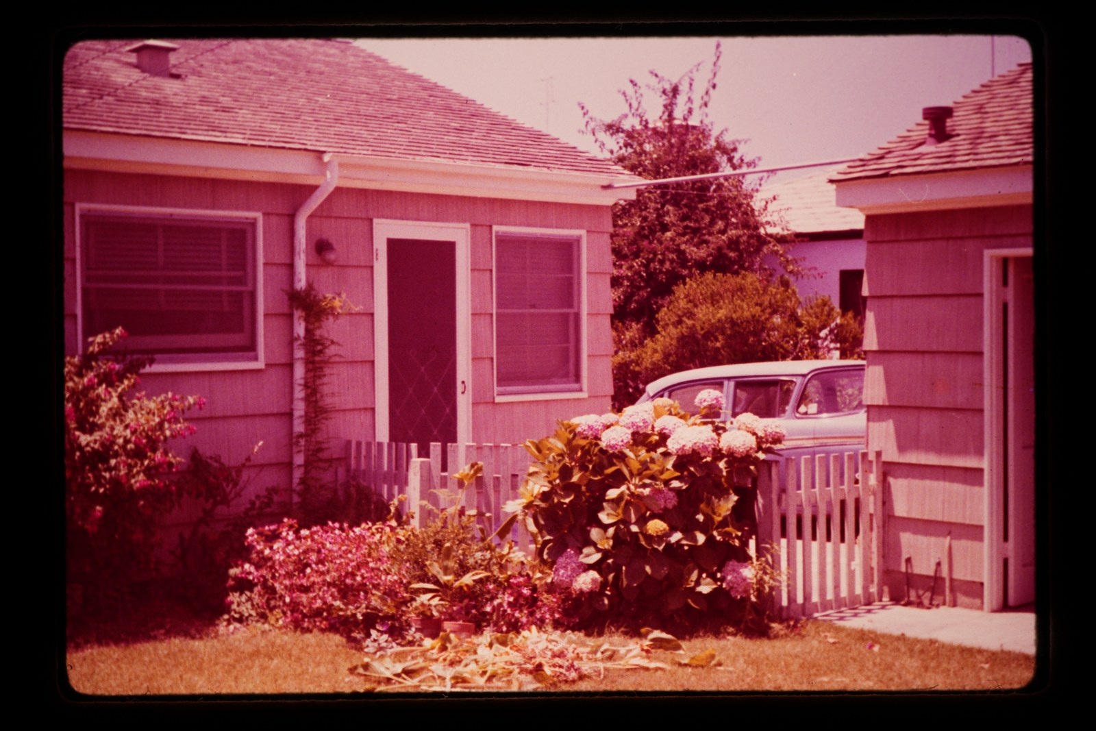 Source capture: Garden and automobile